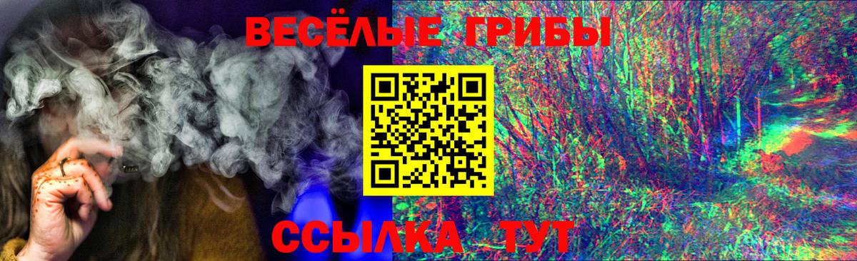 Псилоцибиновые грибы Psilocybine cubensis  Вход с VPN  Лосино-Петровский 